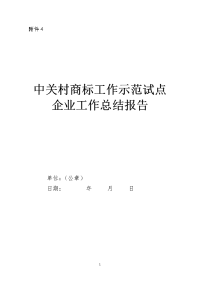 4中关村商标工作示范试点企业工作总结报告