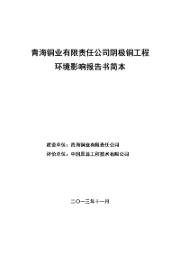 青海铜业有限责任公司阴极铜工程环境影响报告书简本