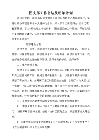 团支部工作总结及明年计划