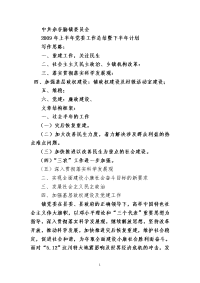 镇2009年党委半年工作总结