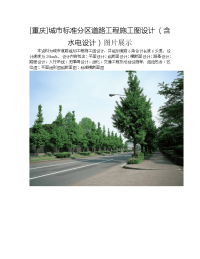 [重庆]城市标准分区道路工程施工图设计(含水电设计)图片展示