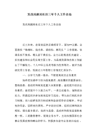 发改局副局长近三年个人工作总结