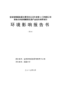 宜春银锂新能源有限责任公司年处理10万吨锂云母制备高纯度碳酸锂及副产品综合利用项目环境影响报告书简本.doc