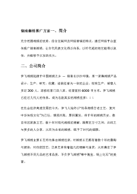 宝典湖南湘绣推广方案