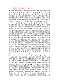 揭盖子挖幕后工作总结.doc