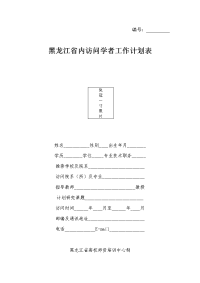 访问学者工作计划表