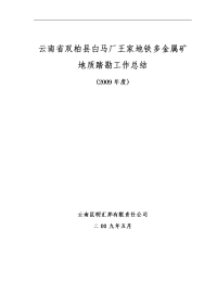 双柏县白马厂王家地铁矿年度工作总结(2008)