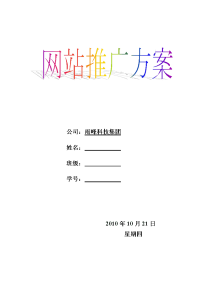 企业网站推广方案(网络营销作业)