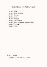 大型商业地产项目招商策划推广方案(真实案例)