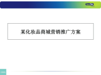 某化妆品商城营销推广方案