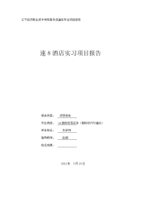 职业技术学院商务流通系毕业项目报告(1) - 副本