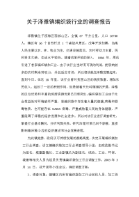 关于泽雅镇编织袋行业的调查报告