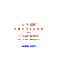 中山馄饨整体推广方案