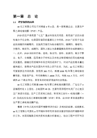 某某化工有限公司建设年产1000吨聚乙烯吡咯烷酮项目环境影响报告书