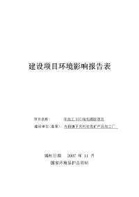 年加工800吨毛铜矿项目建设项目环境影响报告书