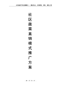 蔬菜直销模式推广方案最终版