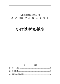 年产5000万米编织袋项目可行性研究报告