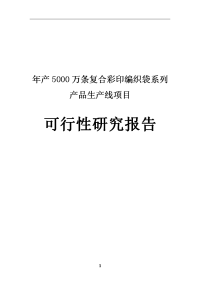 年产5000万条复合彩印编织袋系列产品生产线项目可行性研究报告
