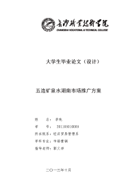 1-2五连矿泉水湖南市场推广方案