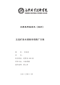 五连矿泉水湖南市场推广方案