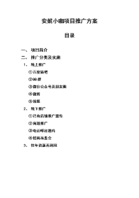 安妮小咖推广方案