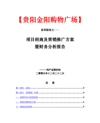 xx购物广场项目招商及营销推广方案暨财务分析报告