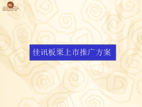 2005佳讯板栗上市推广方案-144p