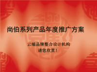 尚伯系列产品年度推广方案