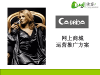 某品牌内衣网站运营推广方案