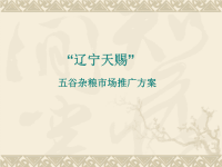 品牌推广方案 杂粮方案演示文稿