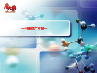 网络推广方案(最终版)