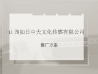 传媒公司推广方案