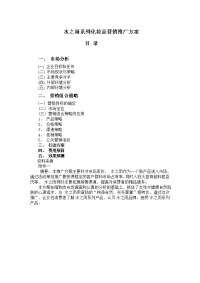化妆品产品营销推广方案
