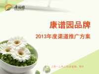康谱园品牌2013年度推广方案
