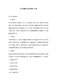 灵芝胶囊产品市场推广方案
