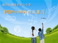 pep小学英语语法总复习及练习