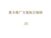 夏令推广方案执行细则