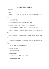 八年级英语语法专题教案