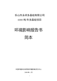 《乐山市永祥多晶硅有限公司6000吨年多晶硅项目环境影响报告书》