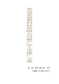 新产品上市推广方案