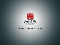 山水泉城整合推广方案