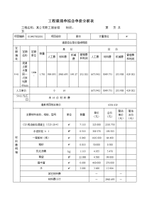 工程量清单综合单价分析表(16)散水