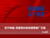 苏宁百度竞价排名推广方案