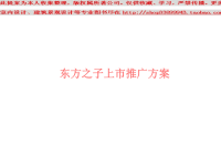 东方之子上市推广方案