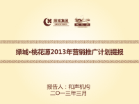 和声机构：绿城桃花源项目2013年推广方案提报