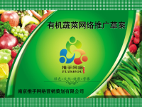有机蔬菜网络推广方案