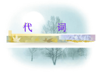 高三英语语法总复习——代词24