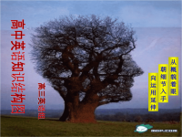 高中英语语法知识结构图解