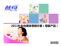 2011社会化媒体营销推广方案