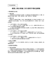 建筑施工企业专项应急预案